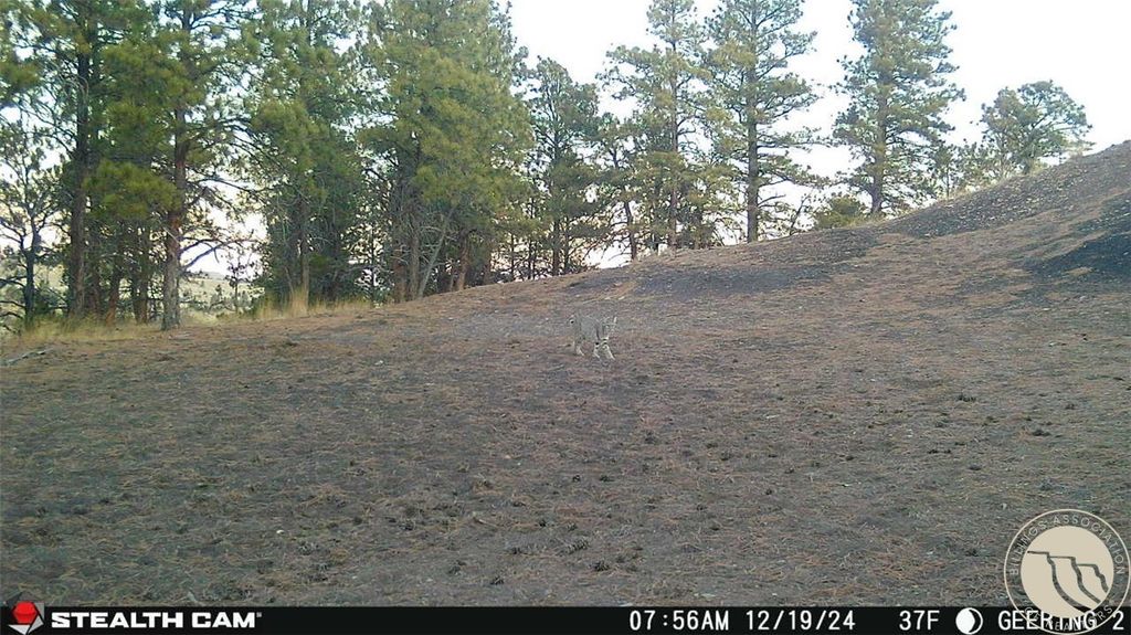 tbd Gebo Rd, Fromberg, MT 59029 photo 19