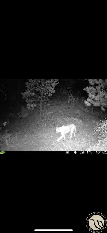 tbd Gebo Rd, Fromberg, MT 59029 photo 20