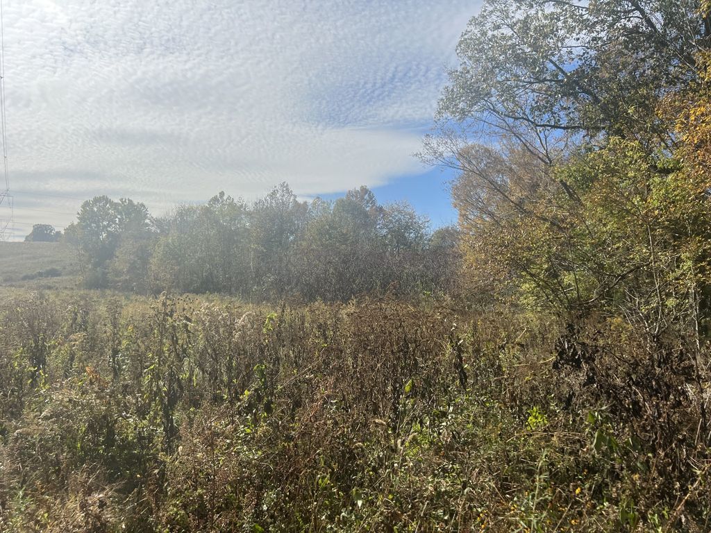 6 Clyde Webb, Tennessee Ridge, TN 37178