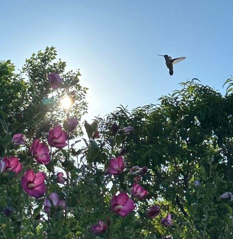 3660 Nm 41, Stanley, NM 87056