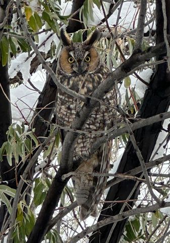 3660 Nm 41, Stanley, NM 87056