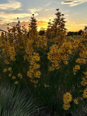 3660 Nm 41, Stanley, NM 87056