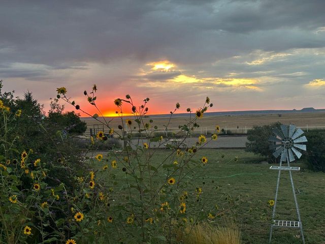 3660 Nm 41, Stanley, NM 87056