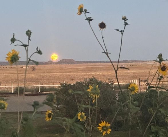 3660 Nm 41, Stanley, NM 87056