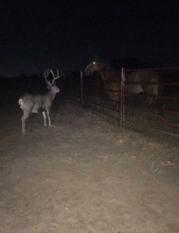 11881 Equestrian Trail, Amarillo, TX 79118