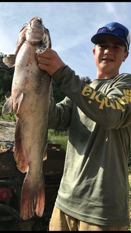 11881 Equestrian Trail, Amarillo, TX 79118