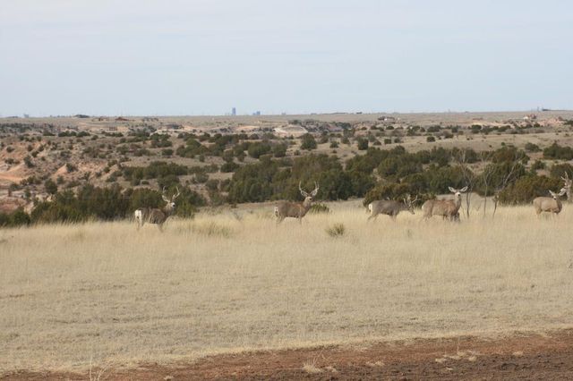 11881 Equestrian Trail, Amarillo, TX 79118