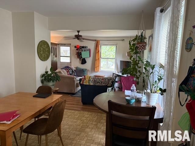 1010 W Walkup Avenue, Carbondale, IL 62901