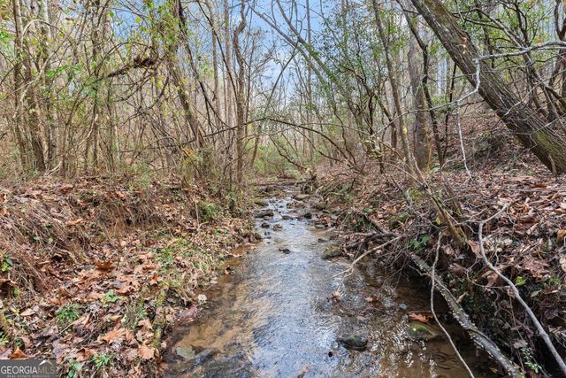 147 Jess Hunt W 60+ Acres Road, Cleveland, GA 30528