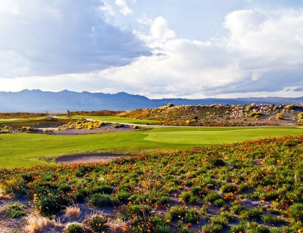 6394 S Via De Oro, Fort Mohave, AZ 86426