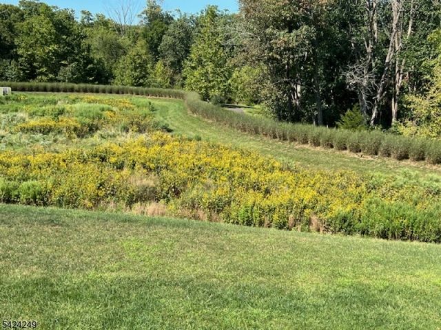 28 Bedford Dr, Montgomery Twp., NJ 08558