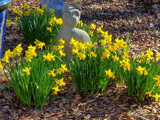 168 Vivian Lane, Wetumpka, AL 36093