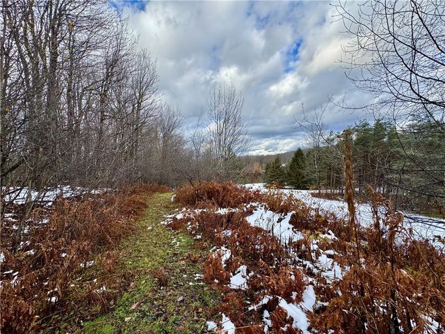 175 Hovick Road, Burlington, NY 13348