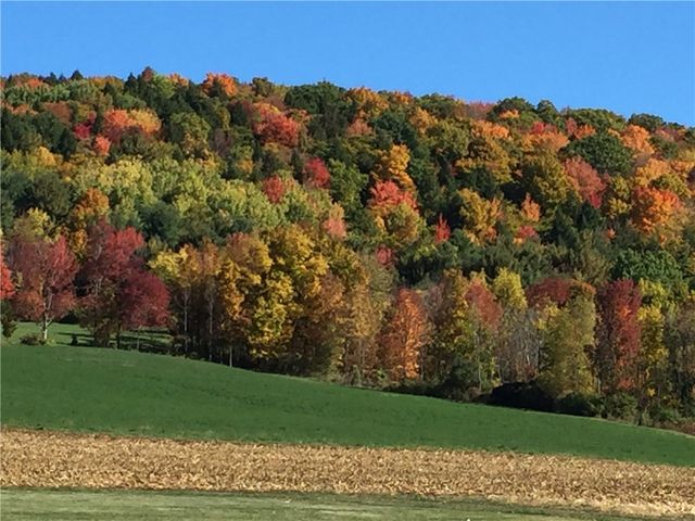 175 Hovick Road, Burlington, NY 13348