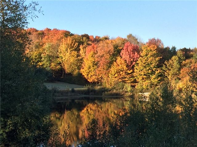 175 Hovick Road, Burlington, NY 13348