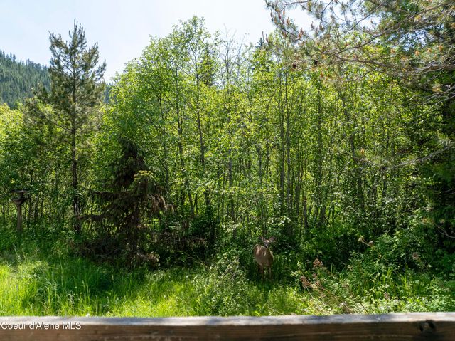 56 Russels Dr, Priest Lake, ID 83856