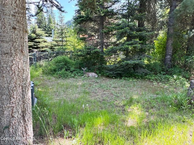 56 Russels Dr, Priest Lake, ID 83856