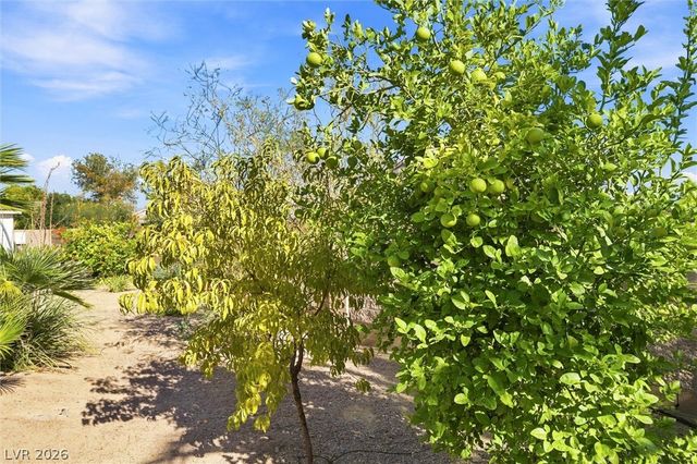 5321 Deerfield Court, Pahrump, NV 89061