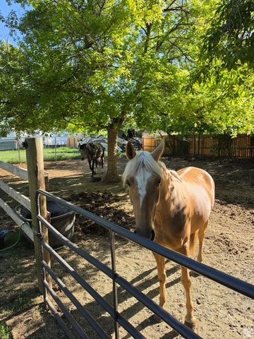 4995 S 3100 W, Roy, UT 84067