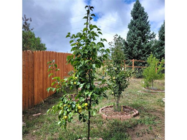 570 Columbine Ave, Golden, CO 80401