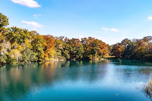 11685 E BLUE COVE DRIVE, Dunnellon, FL 34432