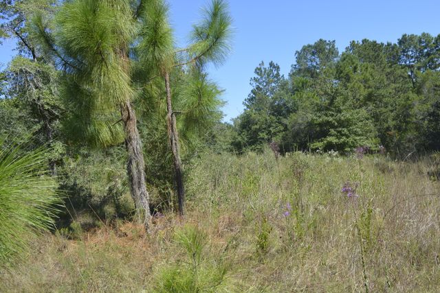 xxx Aplin (32 ac.) Road, Crestview, FL 32539