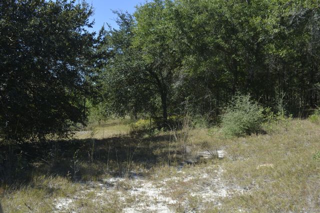 xxx Aplin (32 ac.) Road, Crestview, FL 32539