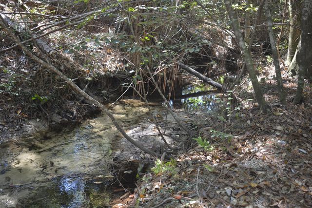 xxx Aplin (32 ac.) Road, Crestview, FL 32539