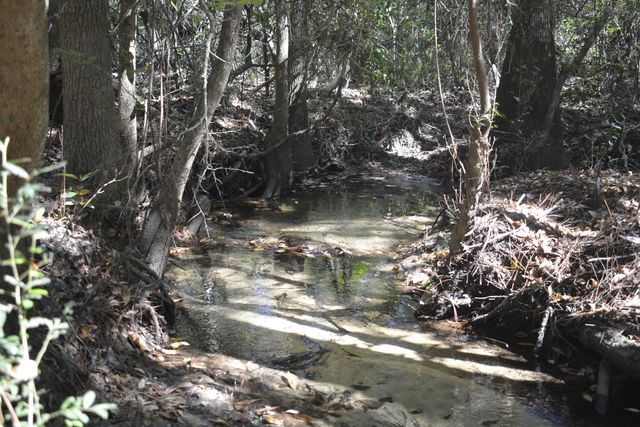 xxx Aplin (32 ac.) Road, Crestview, FL 32539