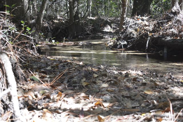 xxx Aplin (32 ac.) Road, Crestview, FL 32539