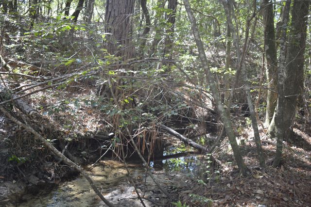 xxx Aplin (32 ac.) Road, Crestview, FL 32539