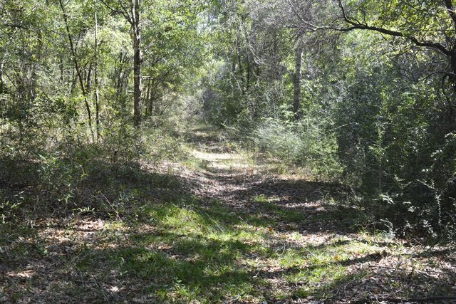 xxx Aplin (32 ac.) Road, Crestview, FL 32539