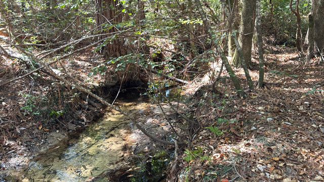 xxx Aplin (32 ac.) Road, Crestview, FL 32539