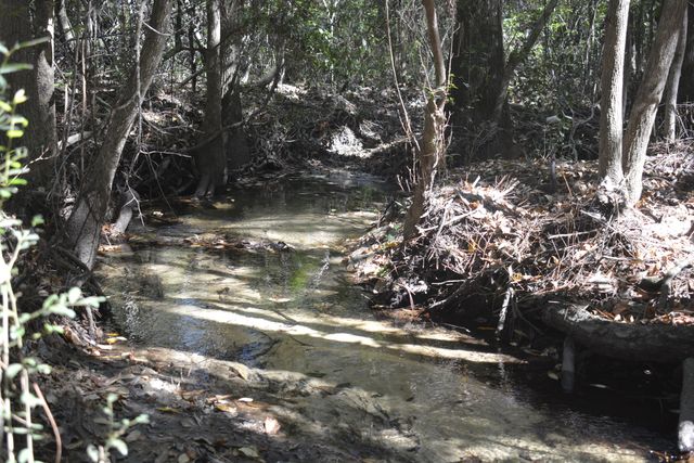 xxx Aplin (32 ac.) Road, Crestview, FL 32539