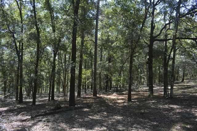 xxx Aplin (32 ac.) Road, Crestview, FL 32539