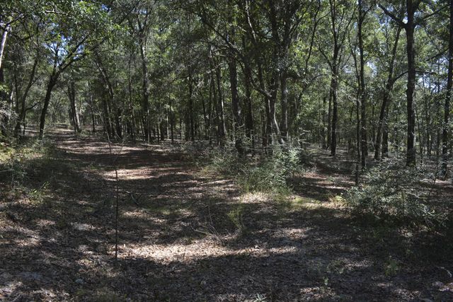 xxx Aplin (32 ac.) Road, Crestview, FL 32539