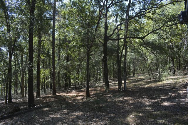 xxx Aplin (32 ac.) Road, Crestview, FL 32539