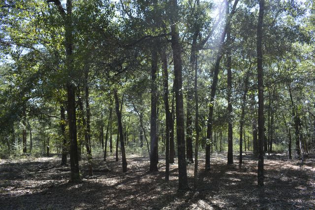 xxx Aplin (32 ac.) Road, Crestview, FL 32539