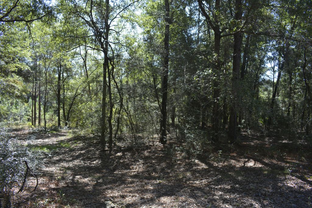 xxx Aplin (32 ac.) Road, Crestview, FL 32539