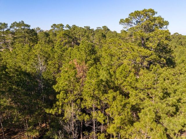 0 Fm 1725, Willis, TX 77378