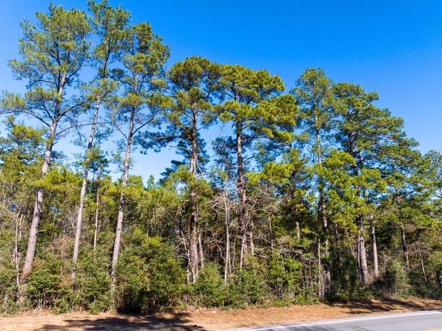 0 Fm 1725, Willis, TX 77378