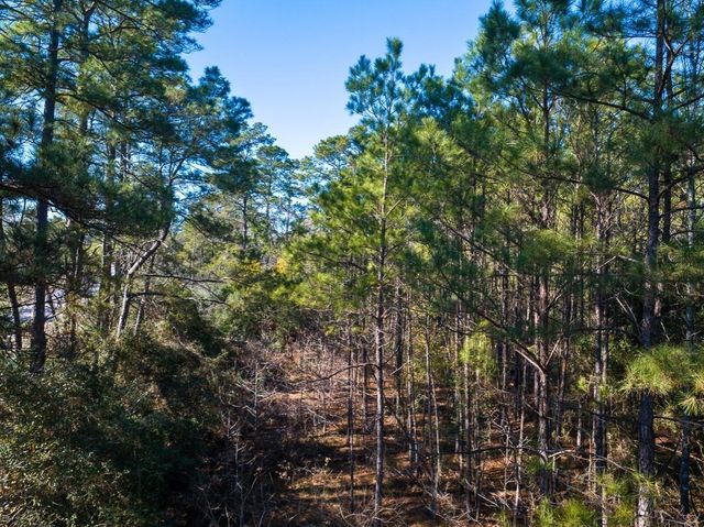 0 Fm 1725, Willis, TX 77378