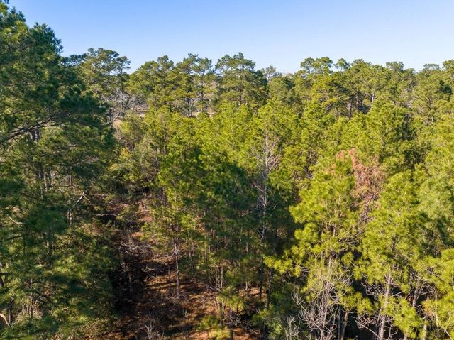 0 Fm 1725, Willis, TX 77378