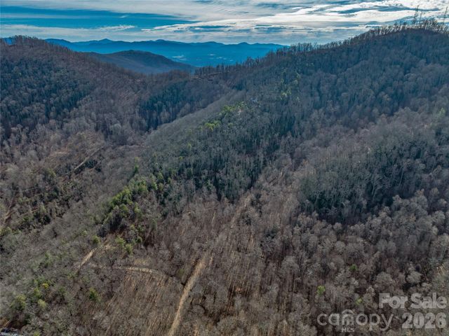 99999 High Top Mountain Road, Leicester, NC 28748