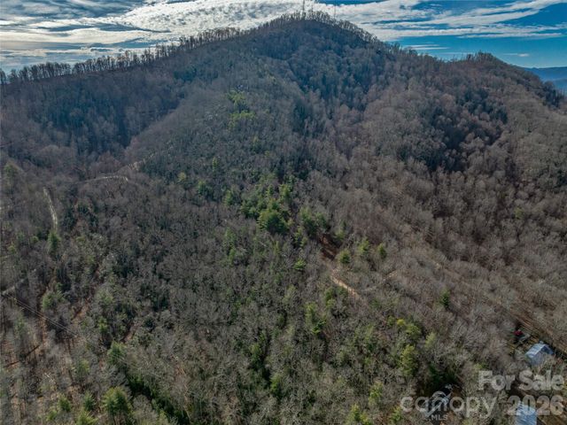99999 High Top Mountain Road, Leicester, NC 28748