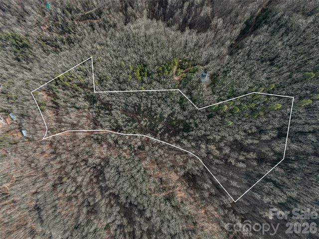 99999 High Top Mountain Road, Leicester, NC 28748