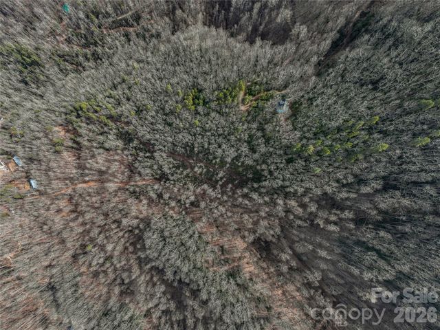 99999 High Top Mountain Road, Leicester, NC 28748