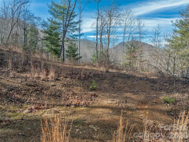 99999 High Top Mountain Road, Leicester, NC 28748