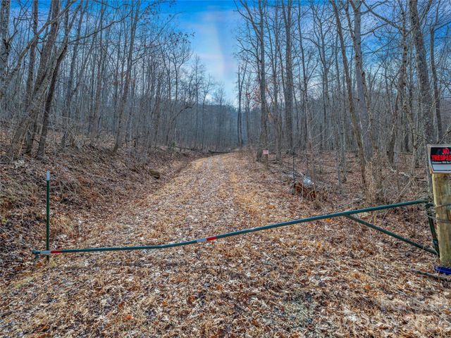 99999 High Top Mountain Road, Leicester, NC 28748