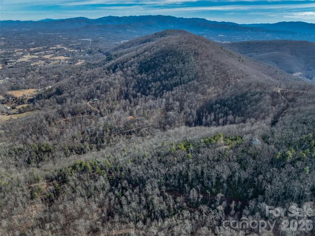 99999 High Top Mountain Road, Leicester, NC 28748